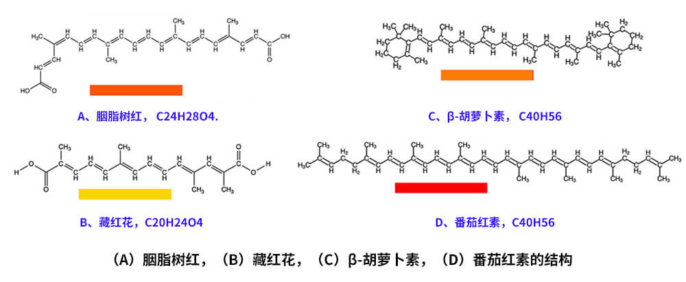 藏紅花、胭脂樹紅、β-胡蘿卜素、番茄紅素的化學結構